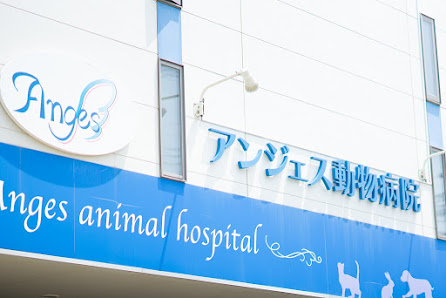 狂犬病 茅ヶ崎｜アンジェス動物病院